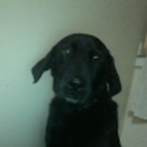 Meet your Posher, Kiera